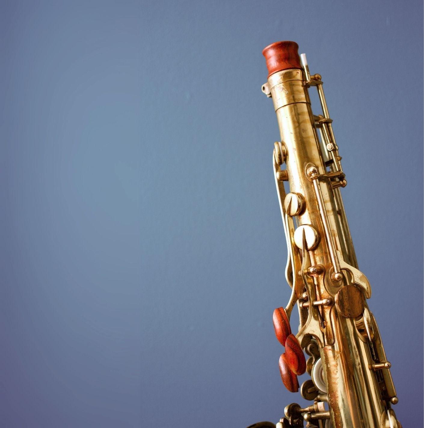 Saxophone accessories